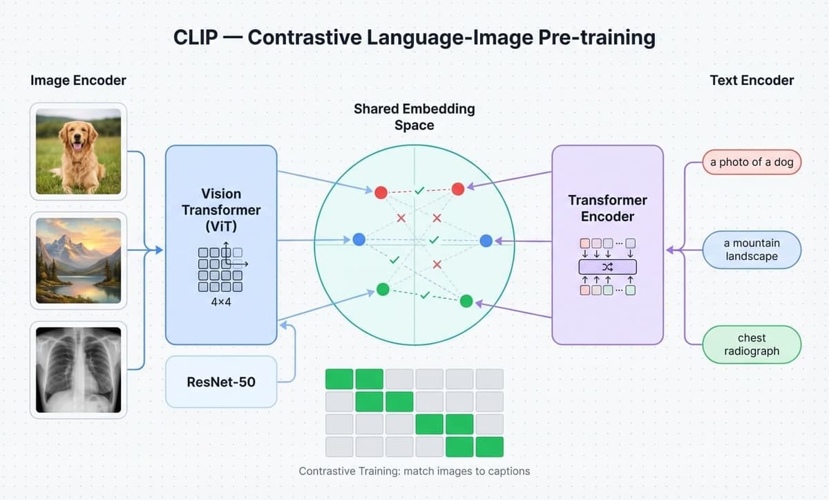 CLIP architecture diagram showing dual-branch image and text encoders projecting into a shared embedding space with contrastive training