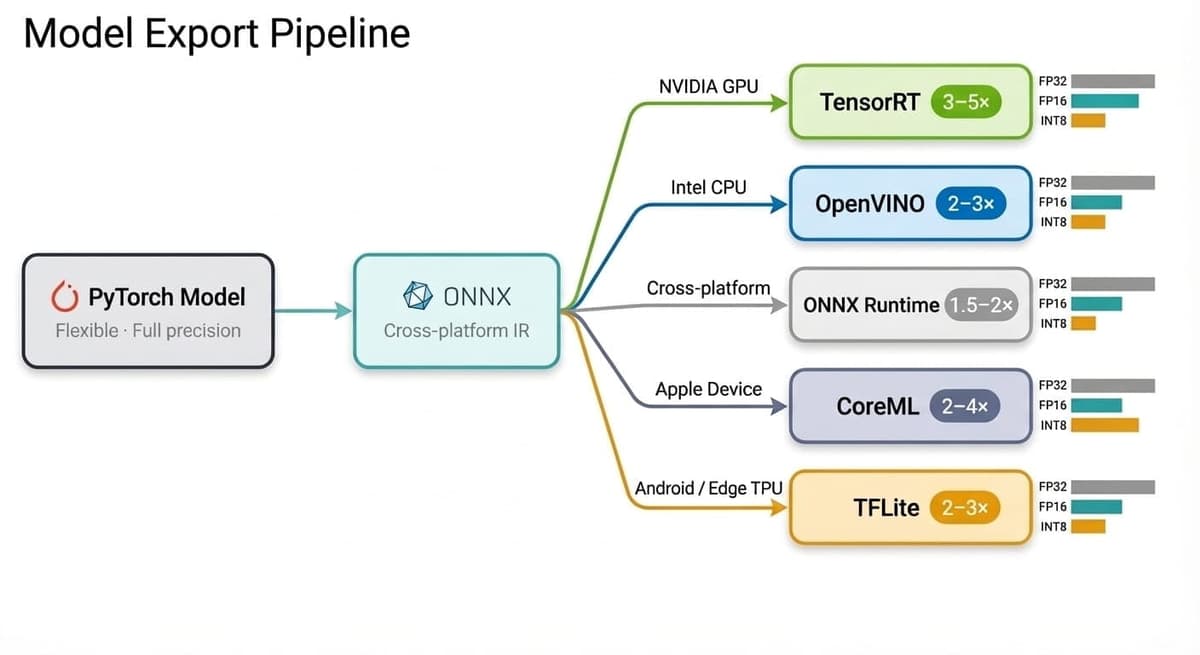 Model export pipeline flowchart showing PyTorch to ONNX to five target formats with speedup badges — TensorRT, OpenVINO, ONNX Runtime, CoreML, and TFLite